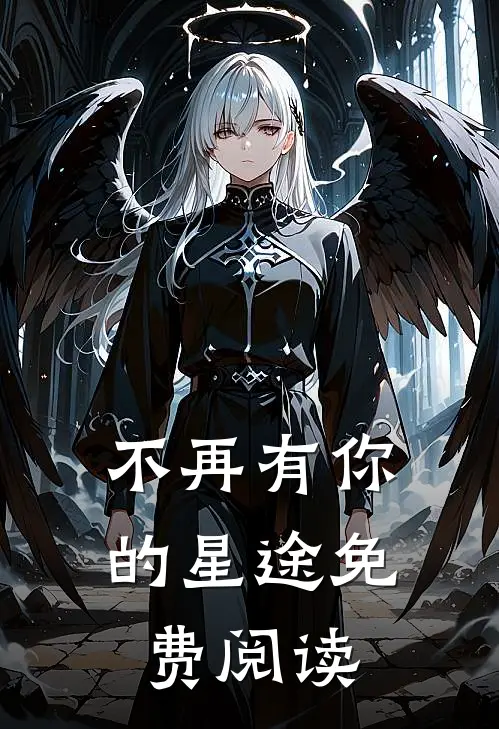 不再有你的星途免费阅读