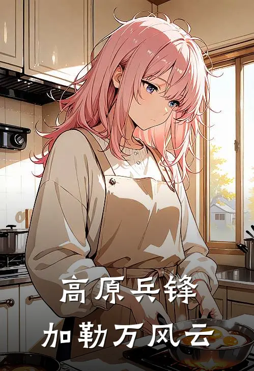 高原兵锋：加勒万风云